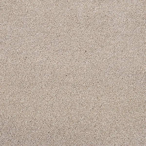 Darius 50oz Invictus Carpet