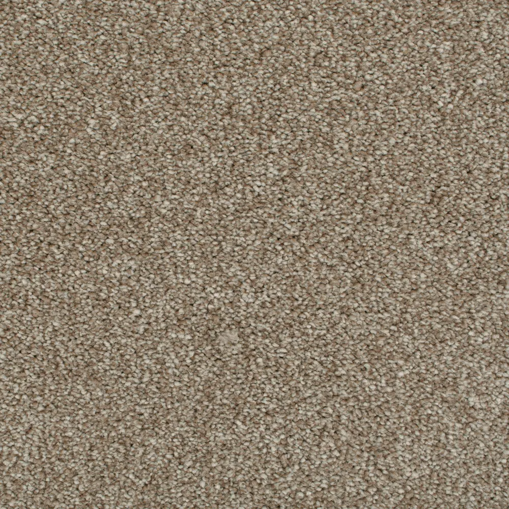 Darius 50oz Invictus Carpet
