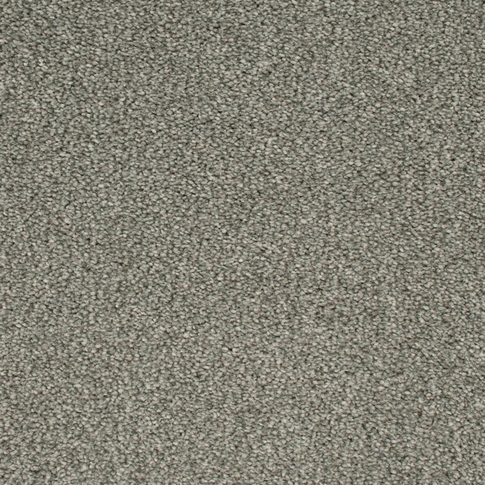 Darius 50oz Invictus Carpet