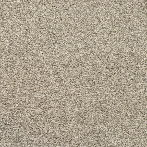 Darius 50oz Invictus Carpet