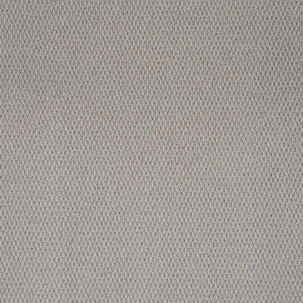 Florida Loop Carpet
