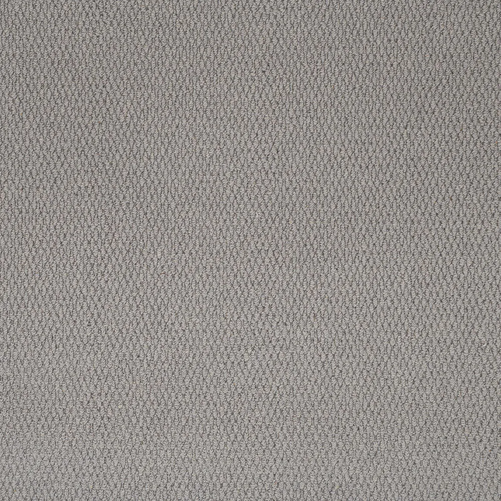 Florida Loop Carpet