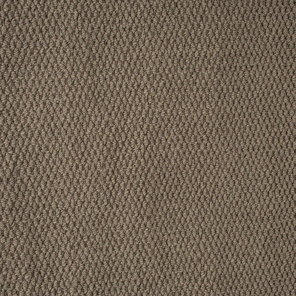 Florida Loop Carpet
