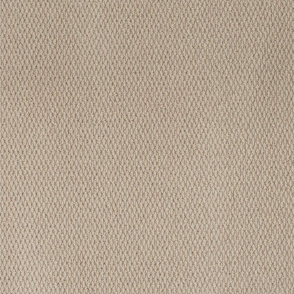 Florida Loop Carpet