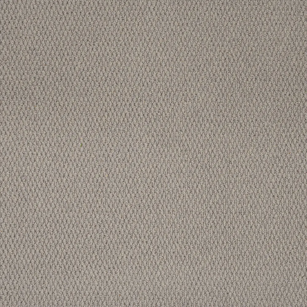 Florida Loop Carpet