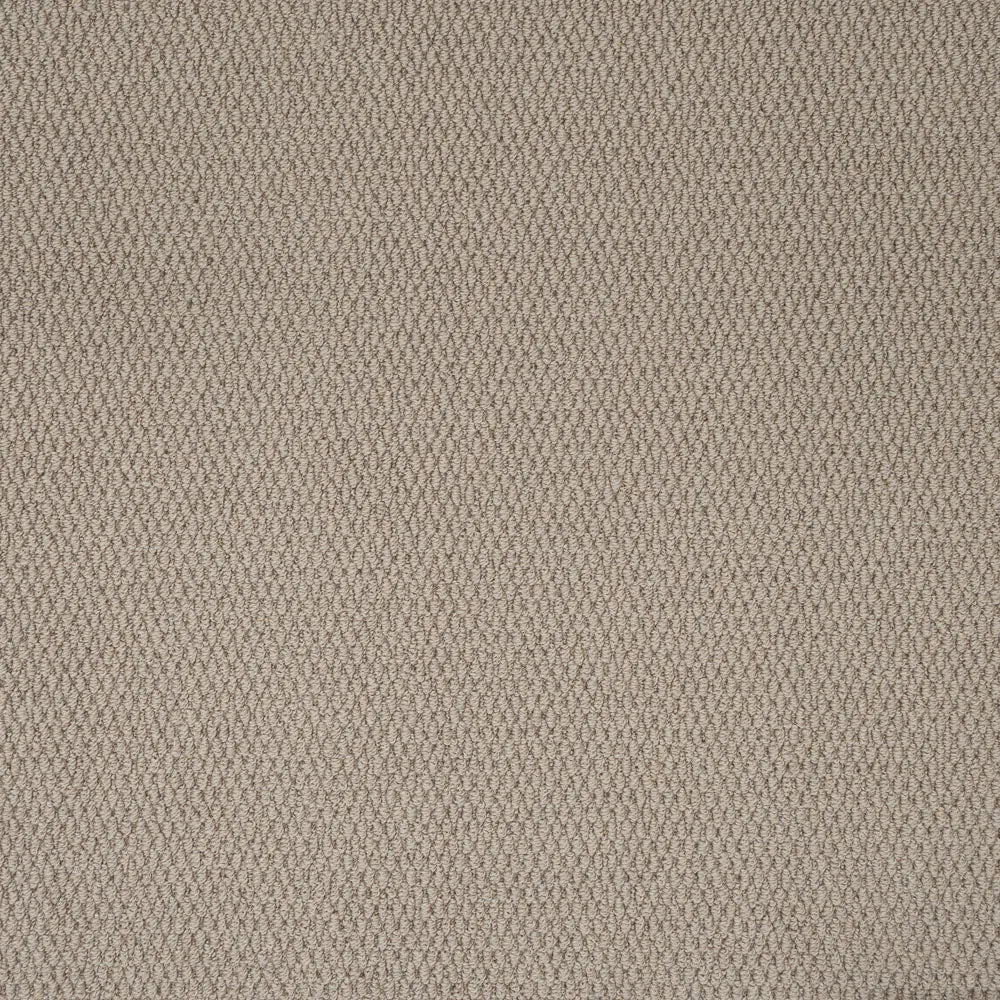 Florida Loop Carpet