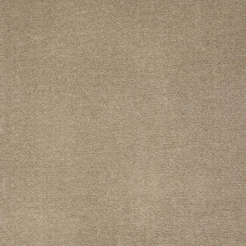 iSense Obsession Carpet