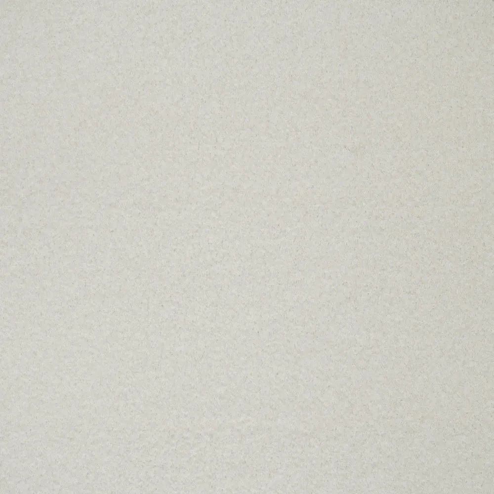 iSense Obsession Carpet