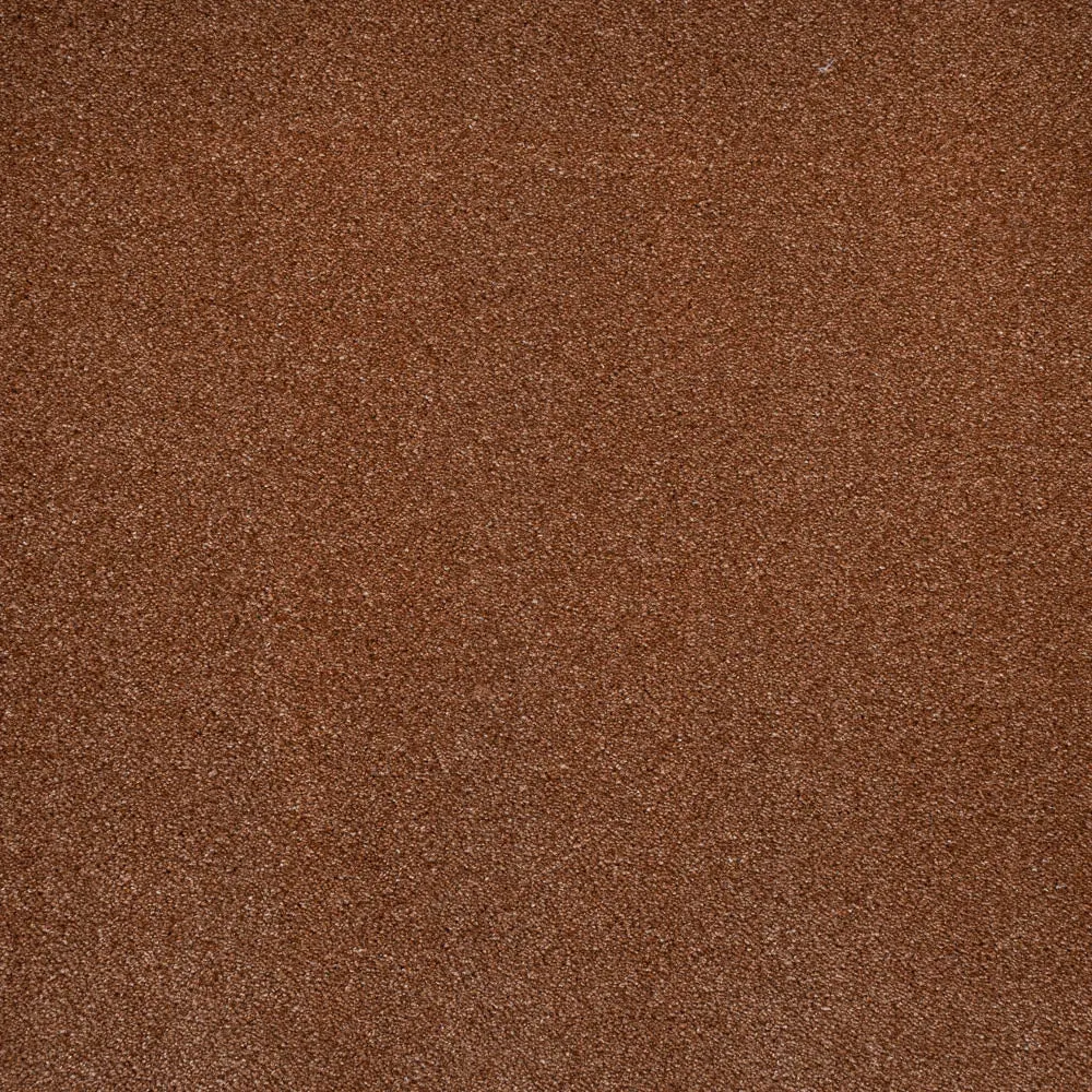 iSense Obsession Carpet
