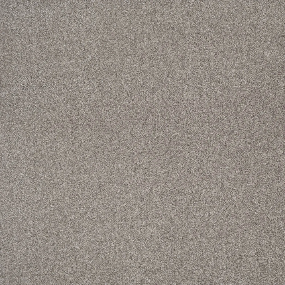 iSense Obsession Carpet