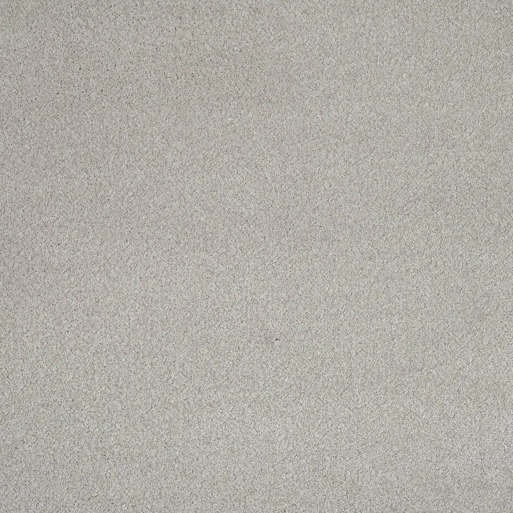 iSense Obsession Carpet