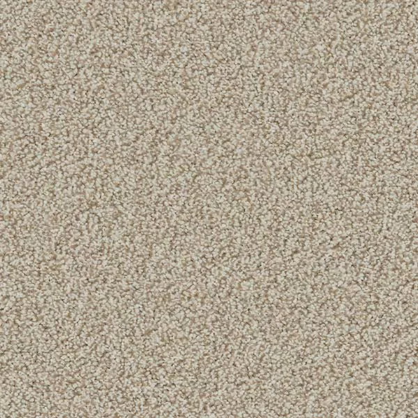 Linwood 40oz Twist Carpet by Cormar