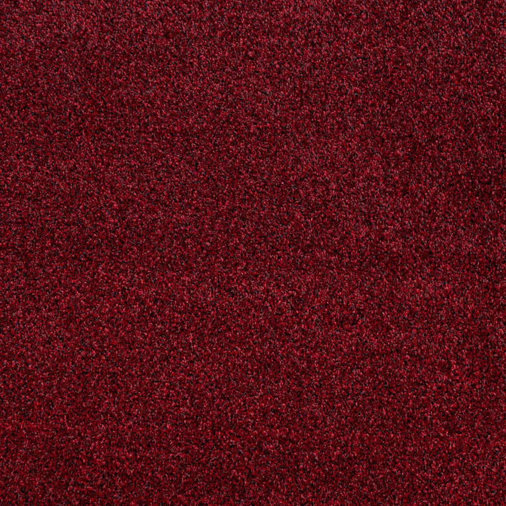 Louisiana Saxony Carpet