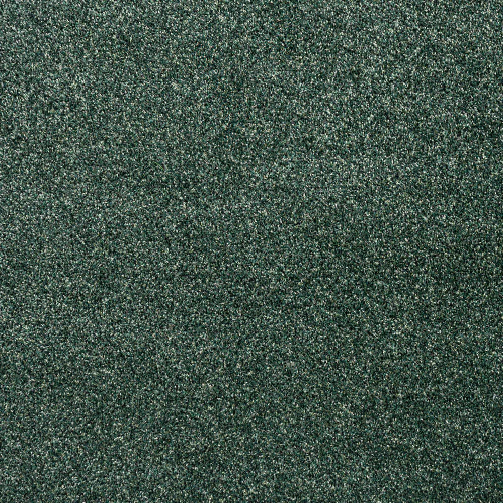 Louisiana Saxony Carpet