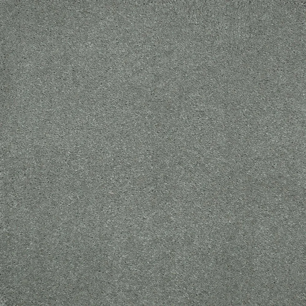 Magnificus Invictus Supreme Carpet
