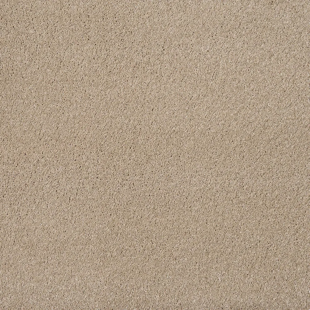 Magnificus Invictus Supreme Carpet