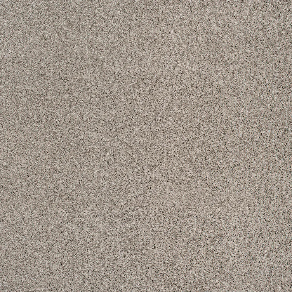 Magnificus Invictus Supreme Carpet