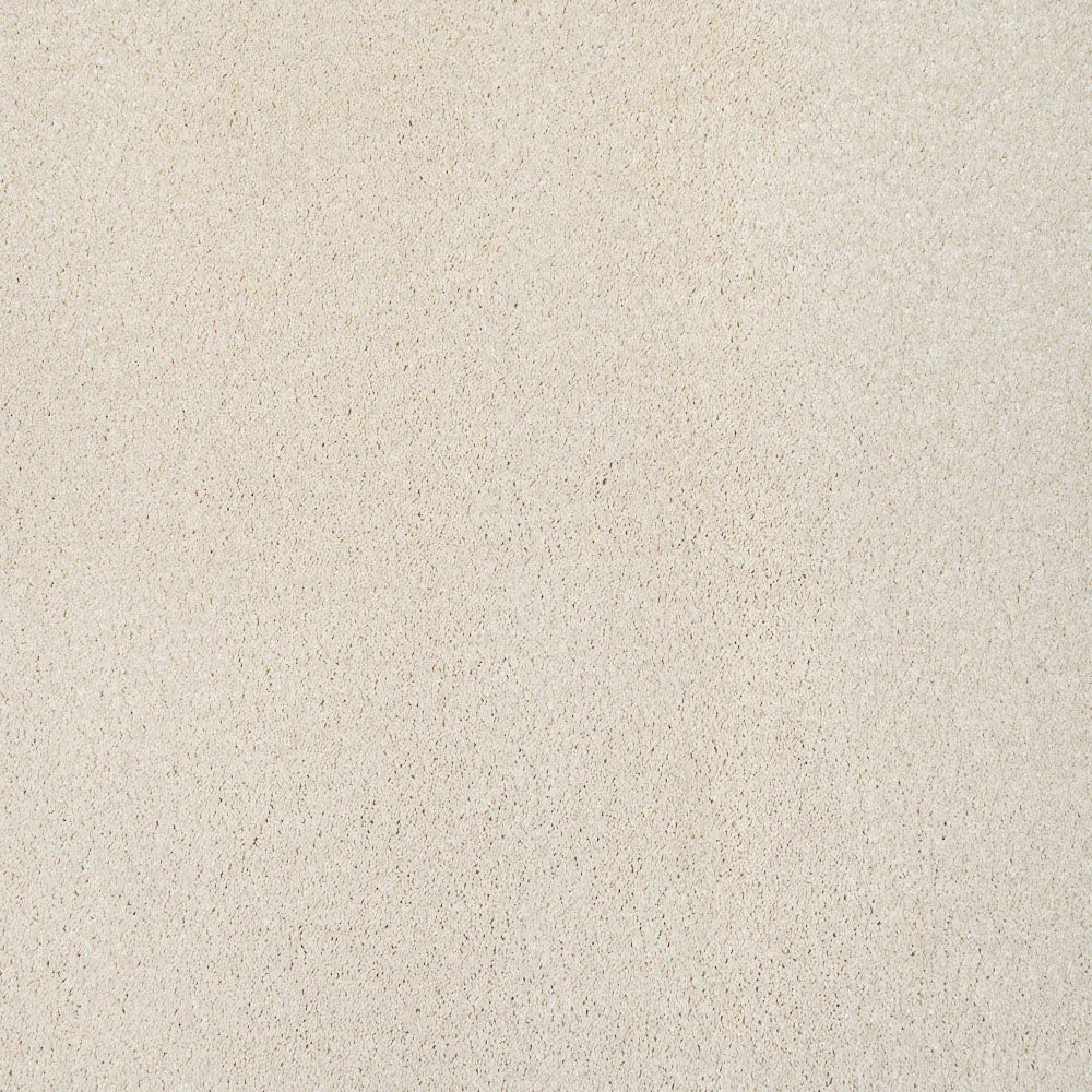 Magnificus Invictus Supreme Carpet