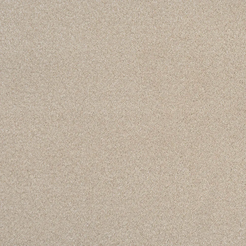 Magnificus Invictus Supreme Carpet