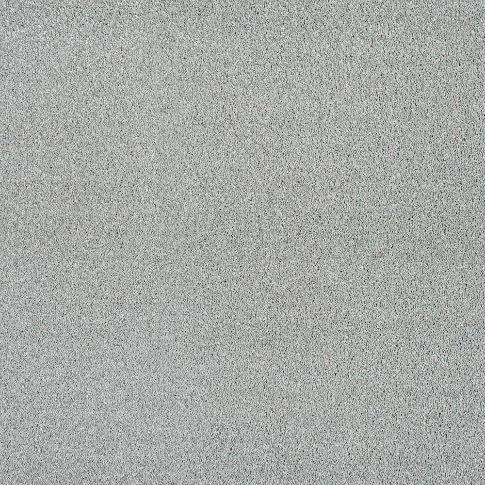 Magnificus Invictus Supreme Carpet
