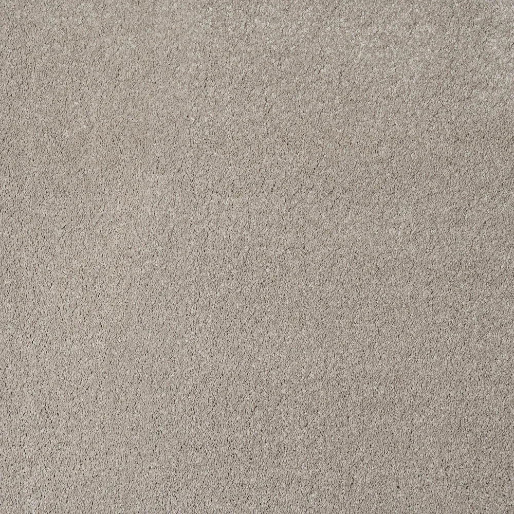 Magnificus Invictus Supreme Carpet