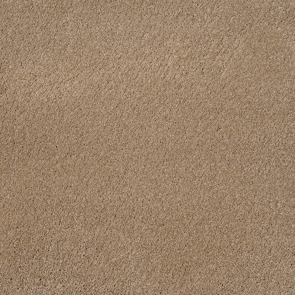 Magnificus Invictus Supreme Carpet