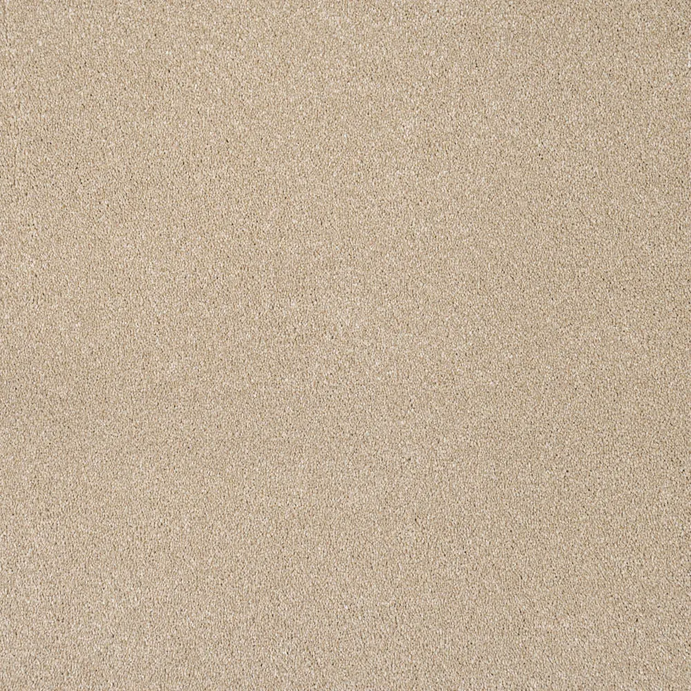 Moxie Saxony Carpet