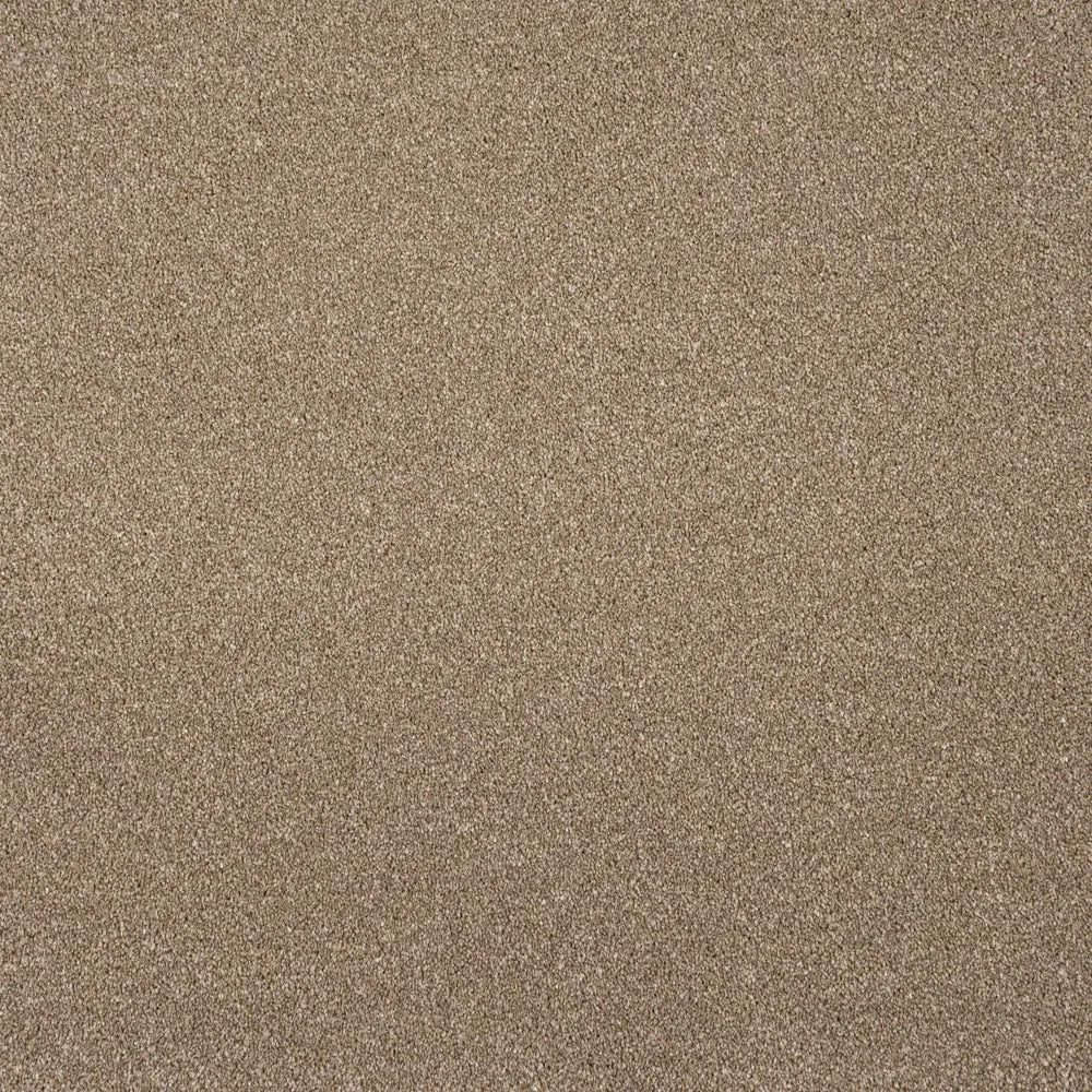 Moxie Saxony Carpet