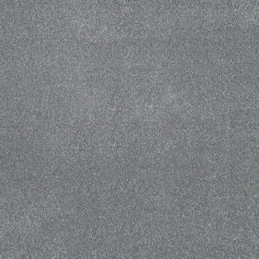 Moxie Saxony Carpet