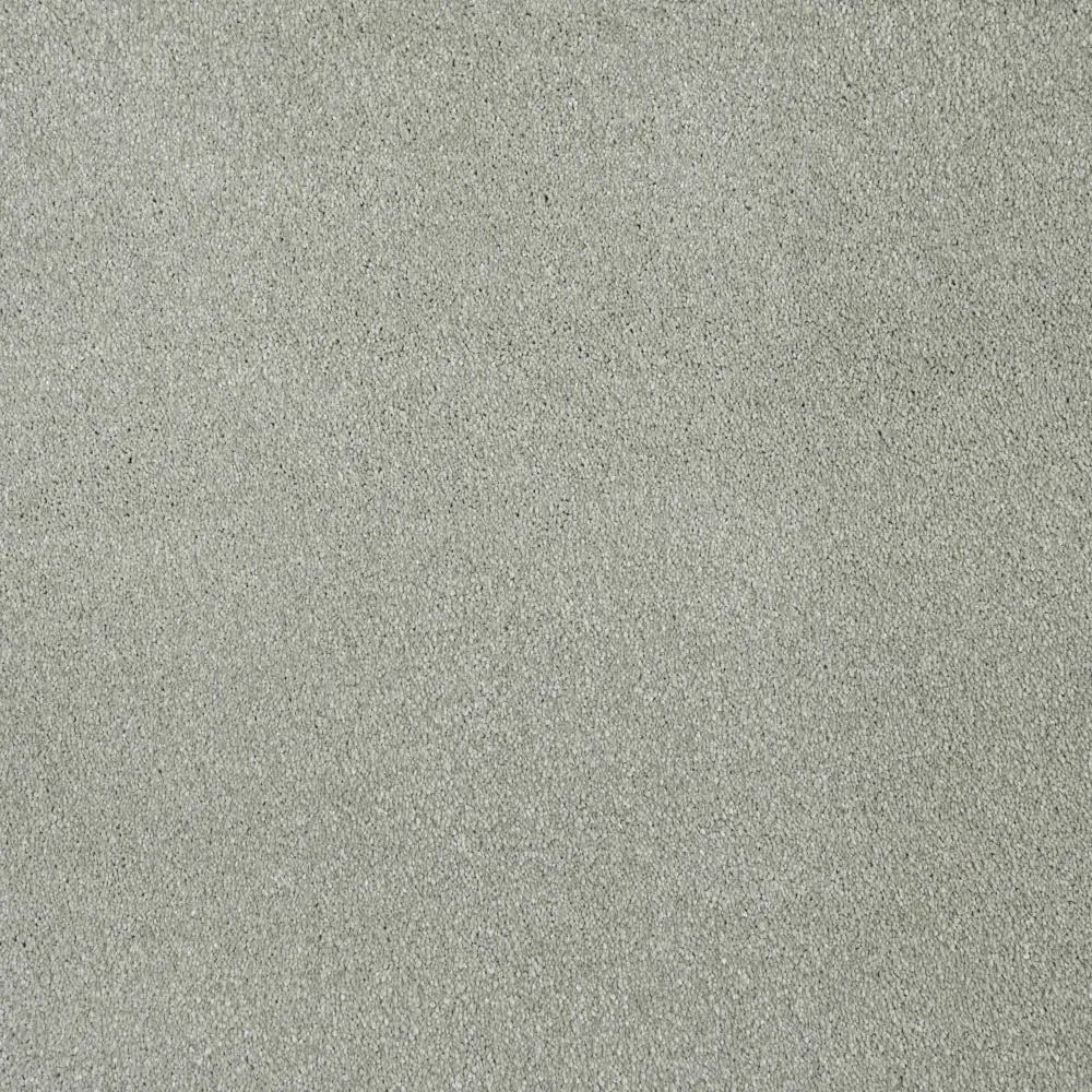 Moxie Saxony Carpet