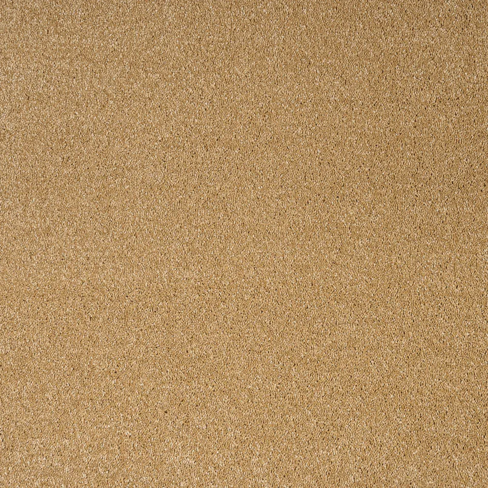 Orion 50oz Invictus Carpet