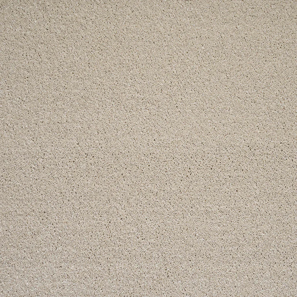 Orion 50oz Invictus Carpet