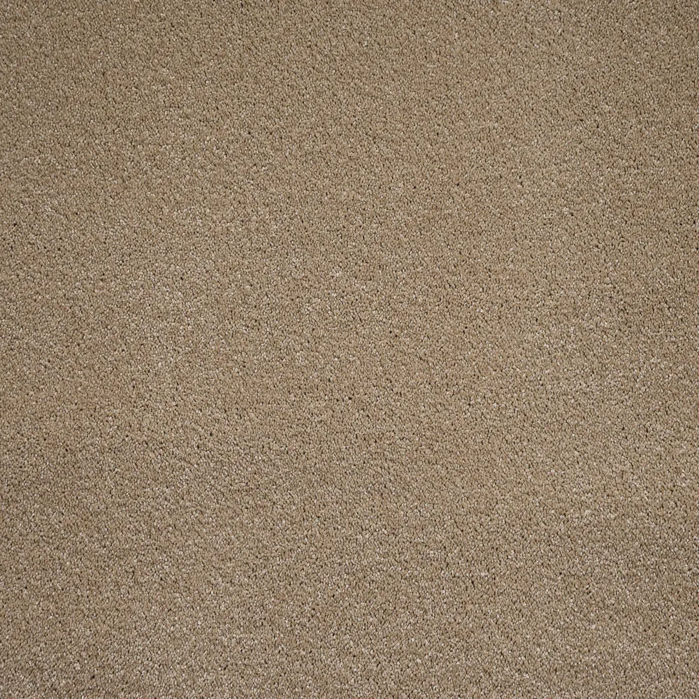 Orion 50oz Invictus Carpet