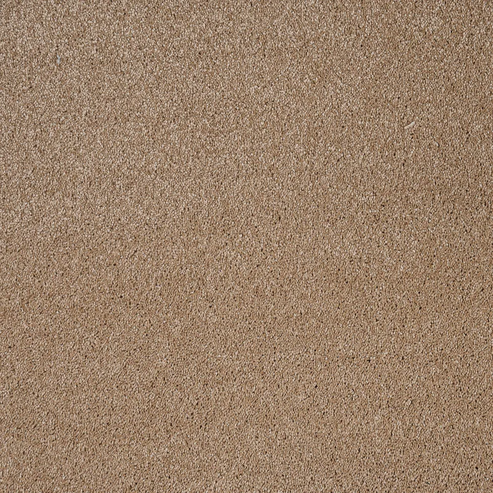 Orion 50oz Invictus Carpet