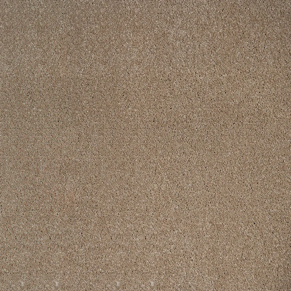 Orion 50oz Invictus Carpet
