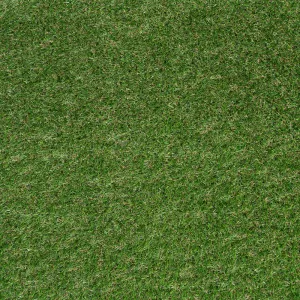 Oxhill 25mm Artificial Grass 5m