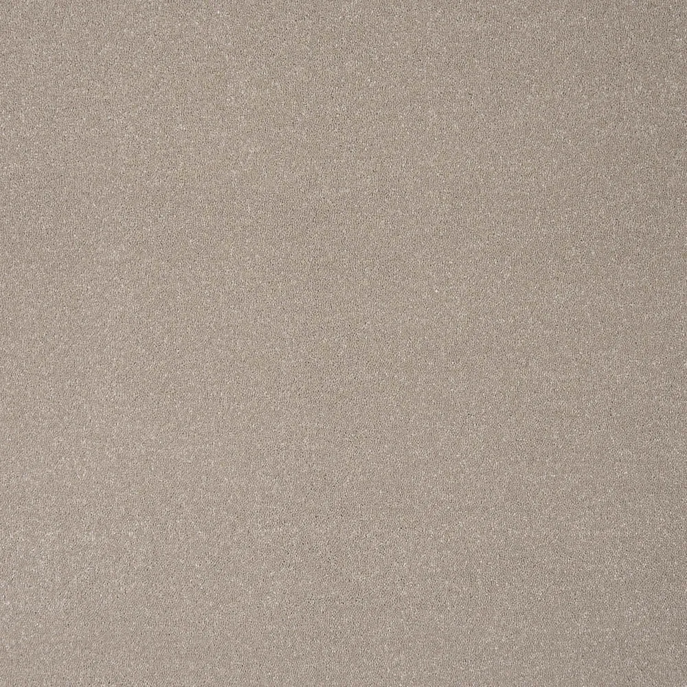 Pure Elegance Carpet by Abingdon