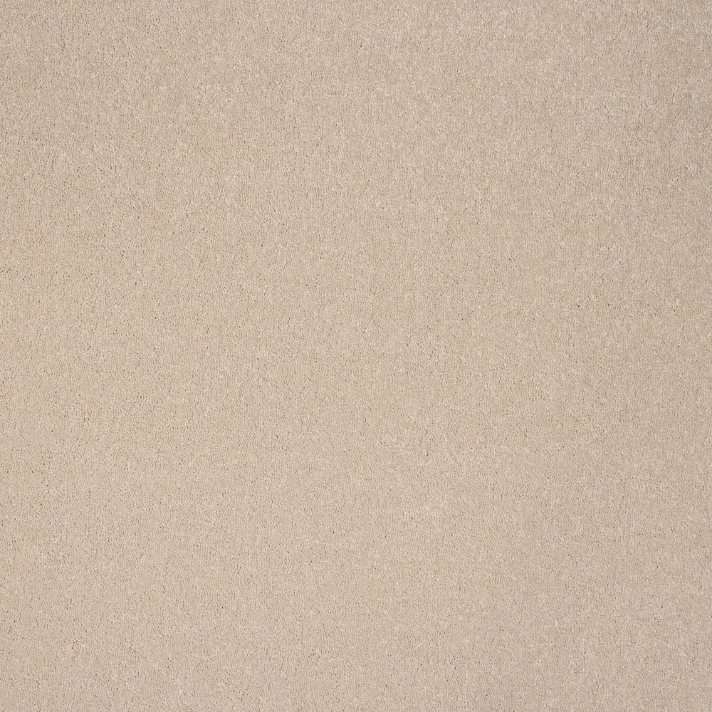 Pure Elegance Carpet by Abingdon