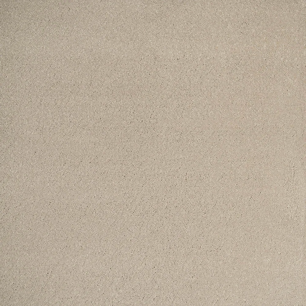 Pure Elegance Carpet by Abingdon