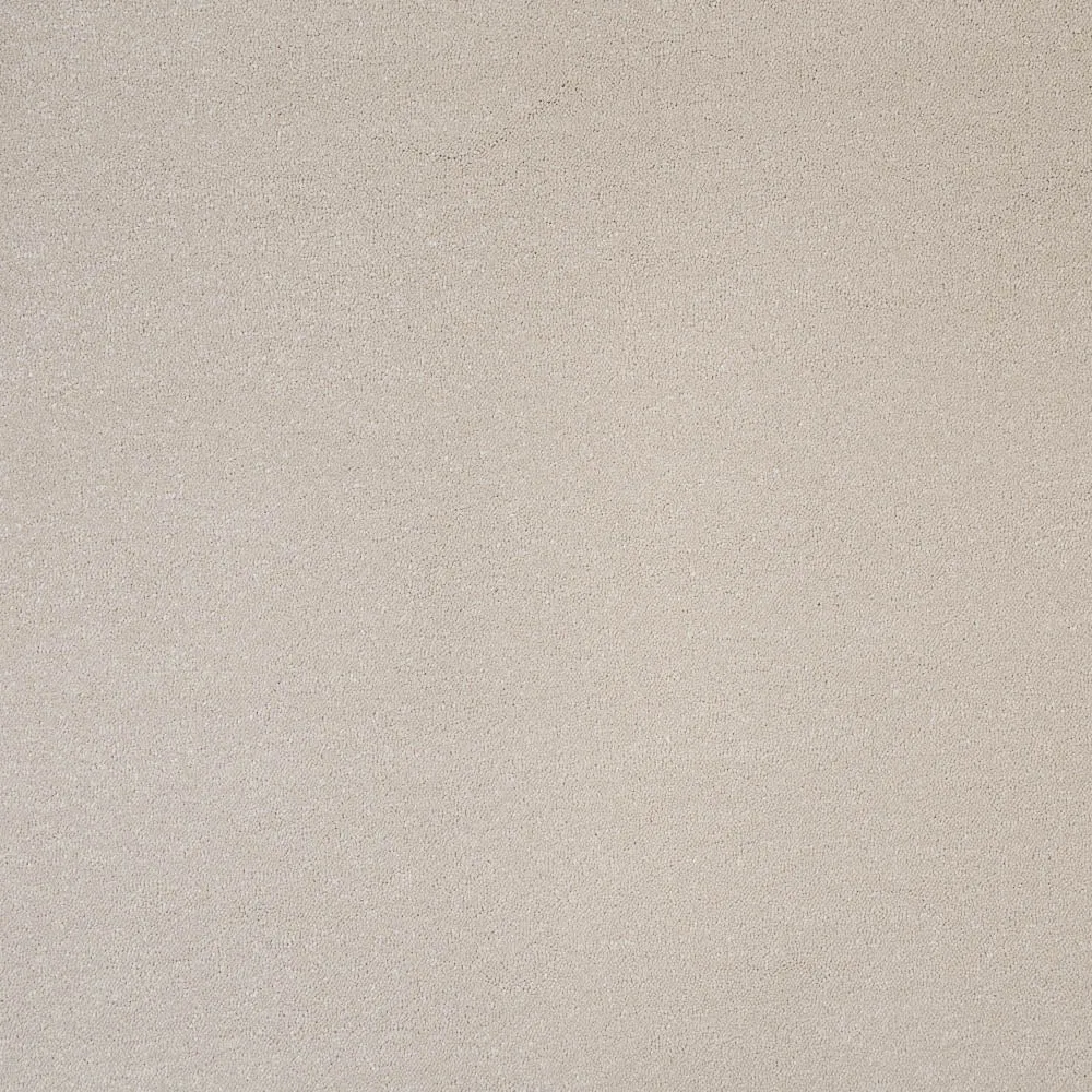 Pure Elegance Carpet by Abingdon