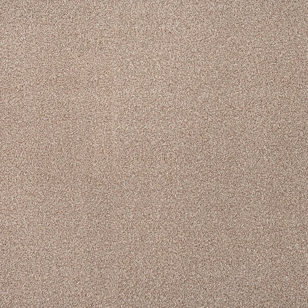 Sensation Heathers 60oz Carpet by Cormar