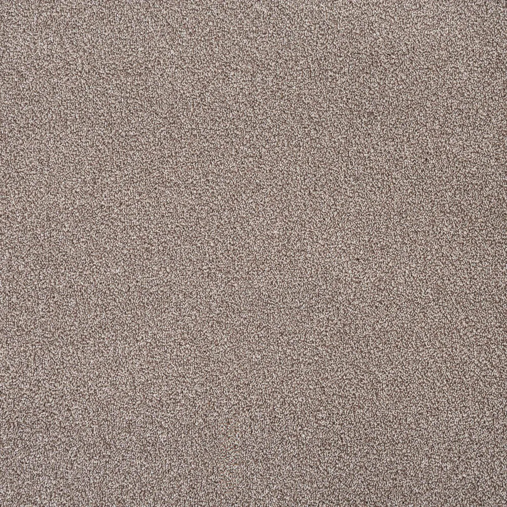 Sensation Heathers 60oz Carpet by Cormar