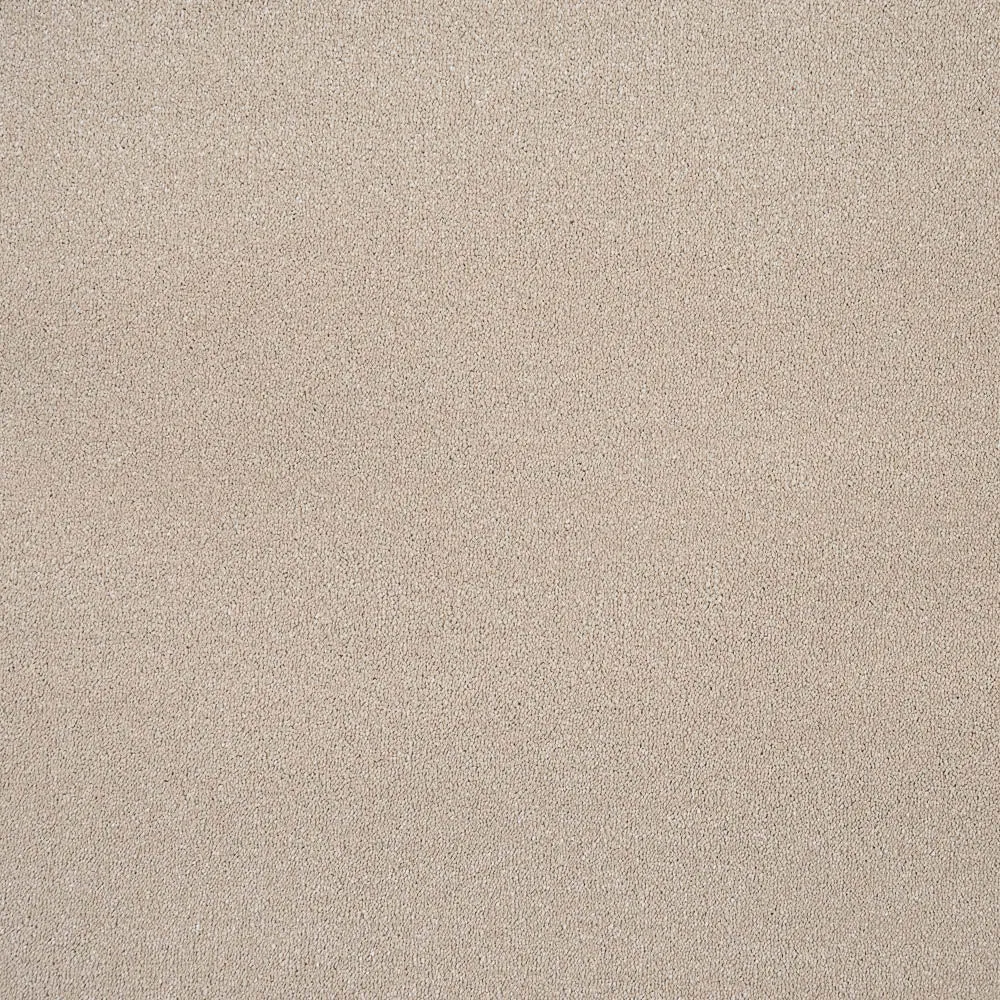 Sensation Original 60oz Carpet by Cormar