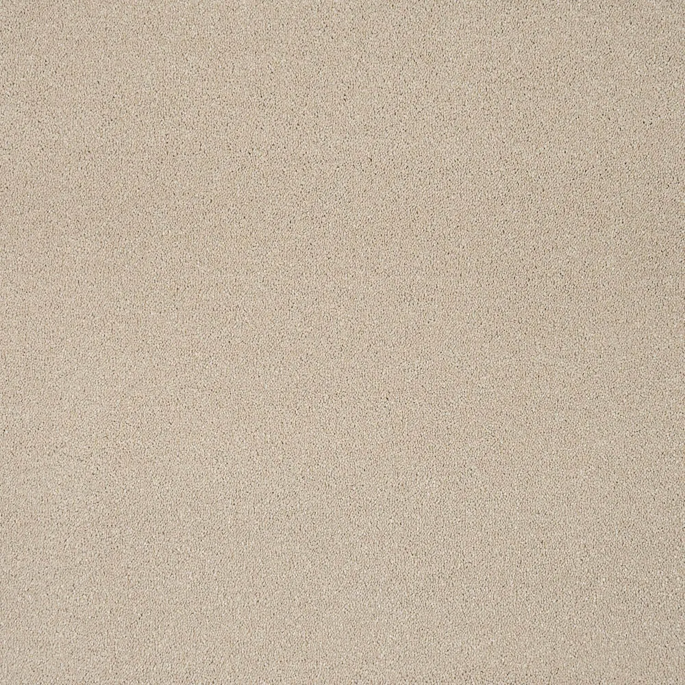 Sensation Original 60oz Carpet by Cormar