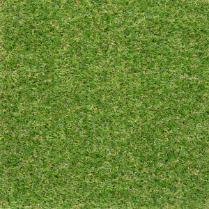Severn 20mm Artificial Grass