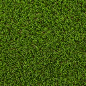 Shelbourne 37mm Artificial Grass