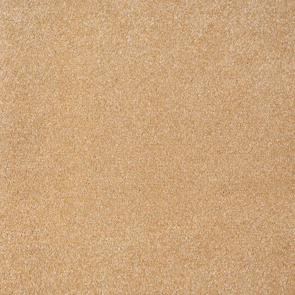 Sirius 70oz Invictus Carpet