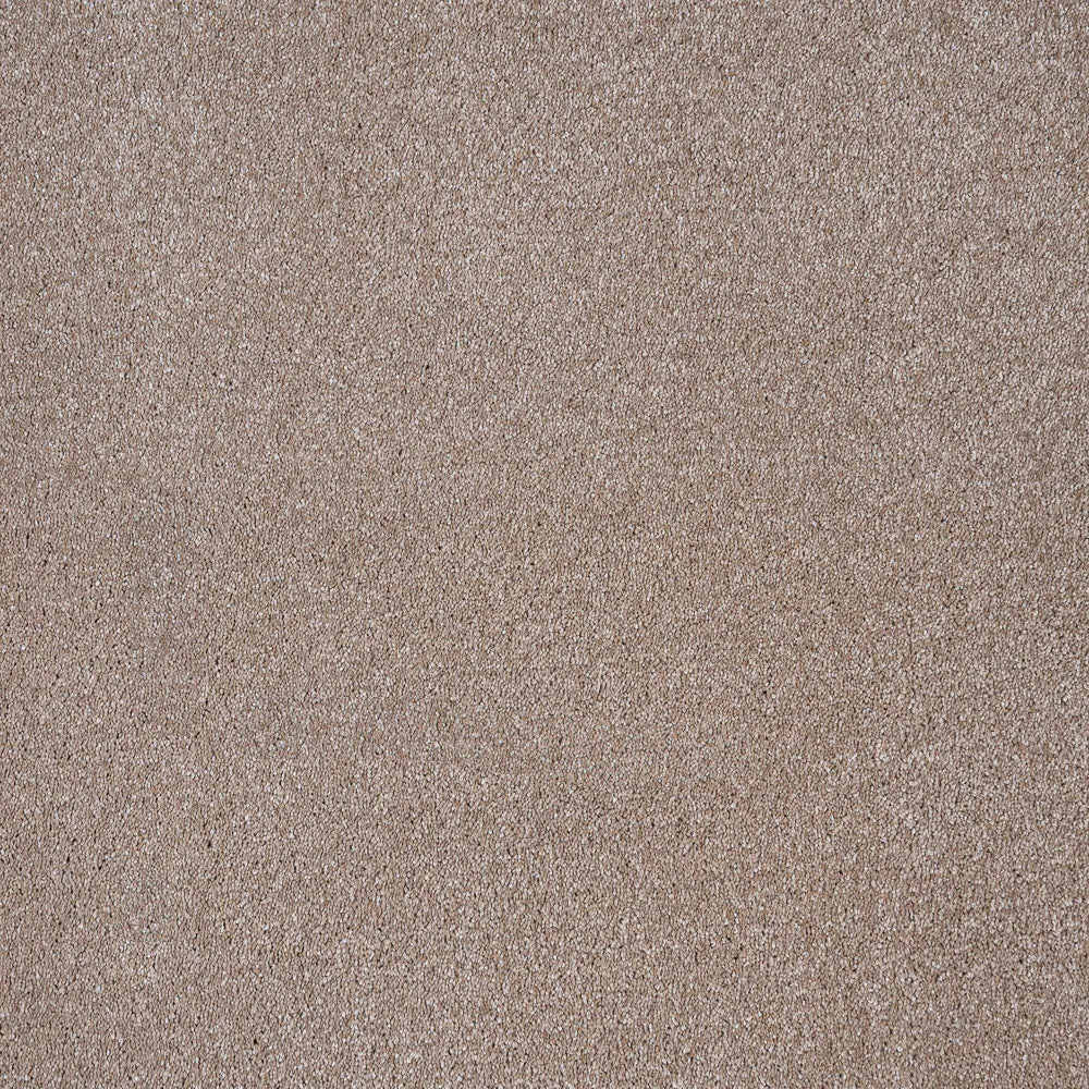 Sirius 70oz Invictus Carpet
