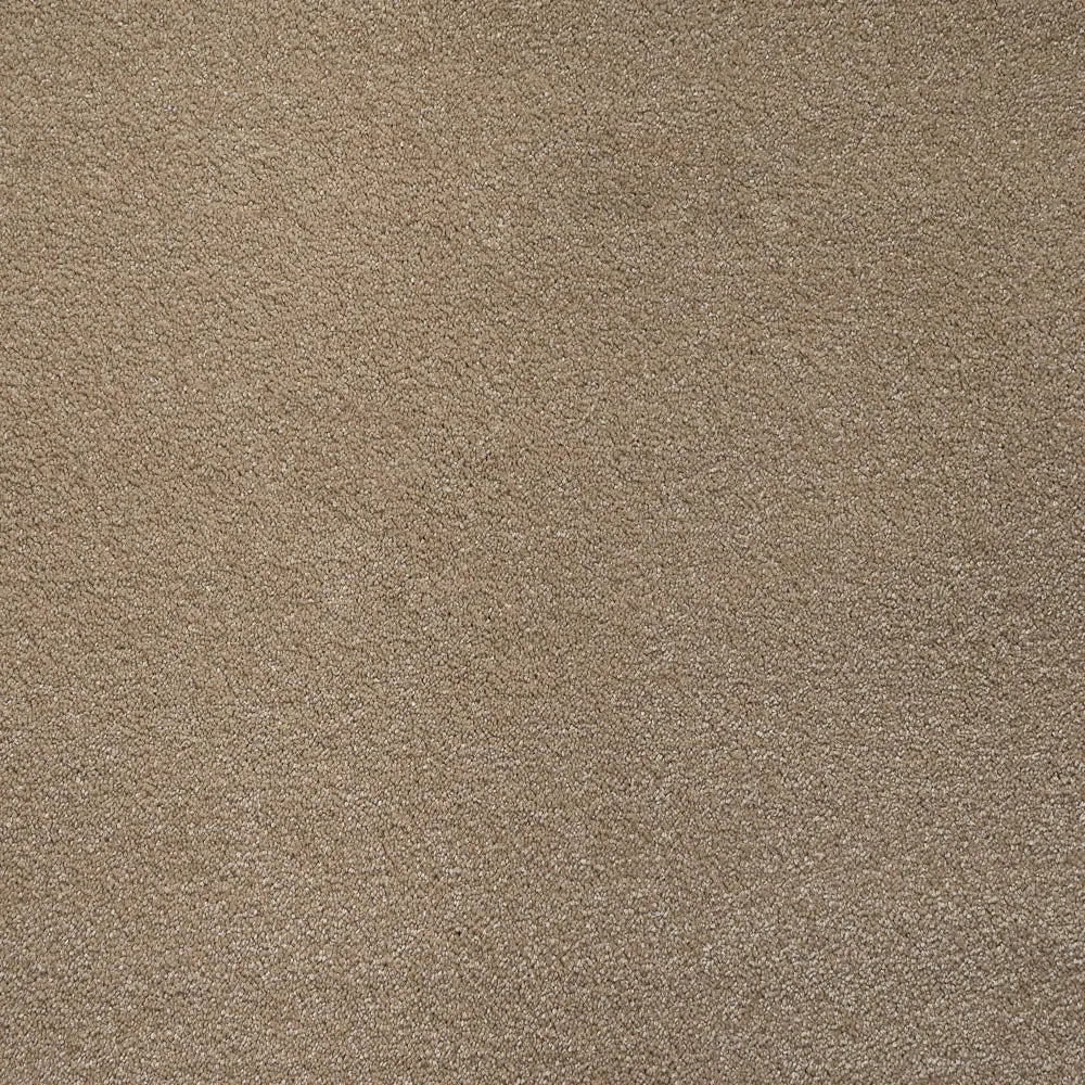 Sirius 70oz Invictus Carpet