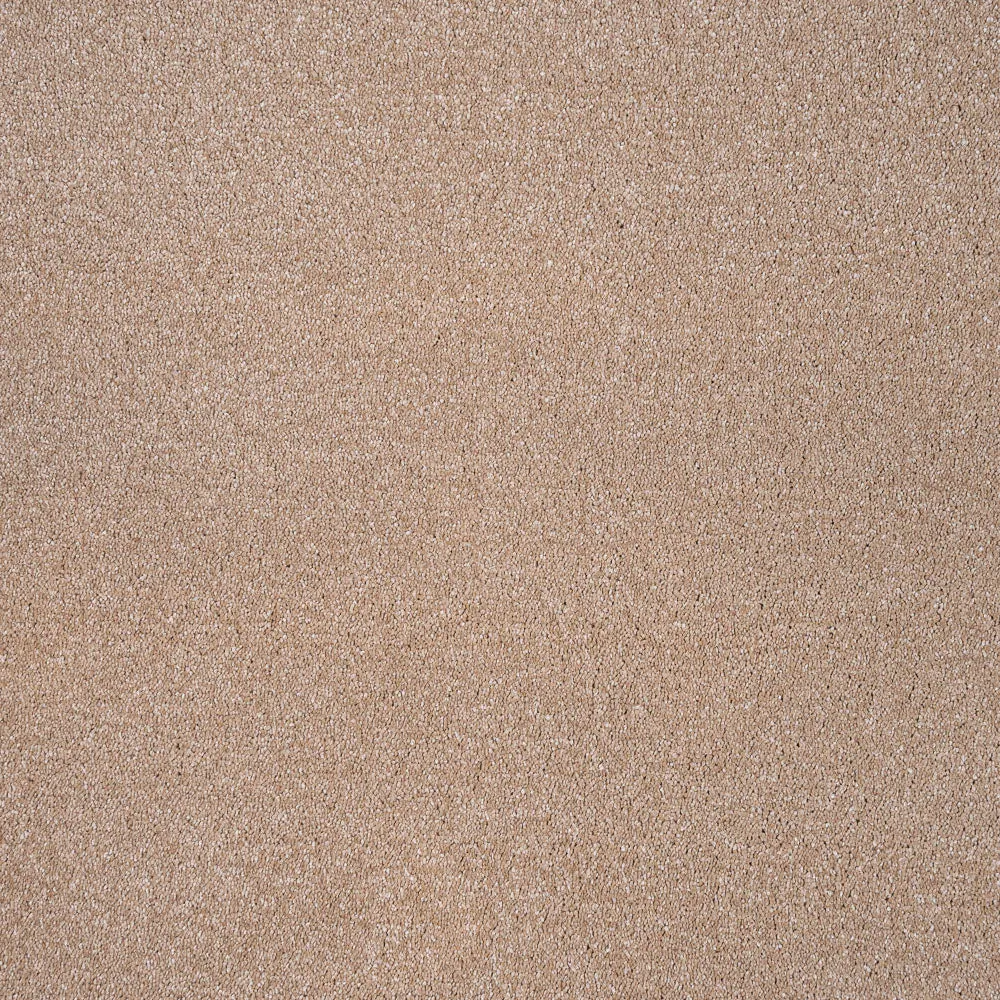 Sirius 70oz Invictus Carpet